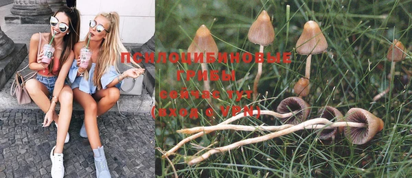 СК Нефтегорск