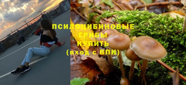 СК Нефтегорск