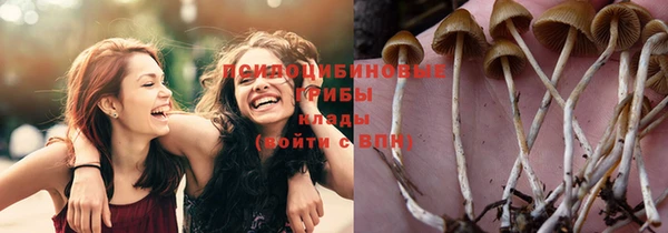 mdpv Нея