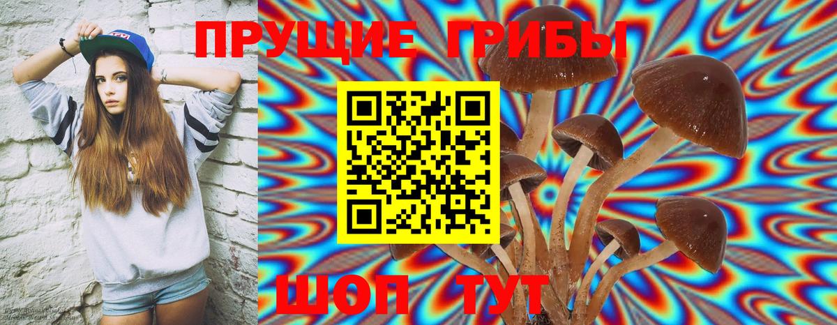 Псилоцибиновые грибы MAGIC MUSHROOMS Осинники