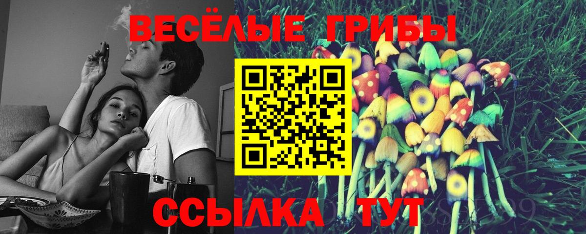 Осинники  Псилоцибиновые грибы Psilocybine cubensis  Вход с VPN 
